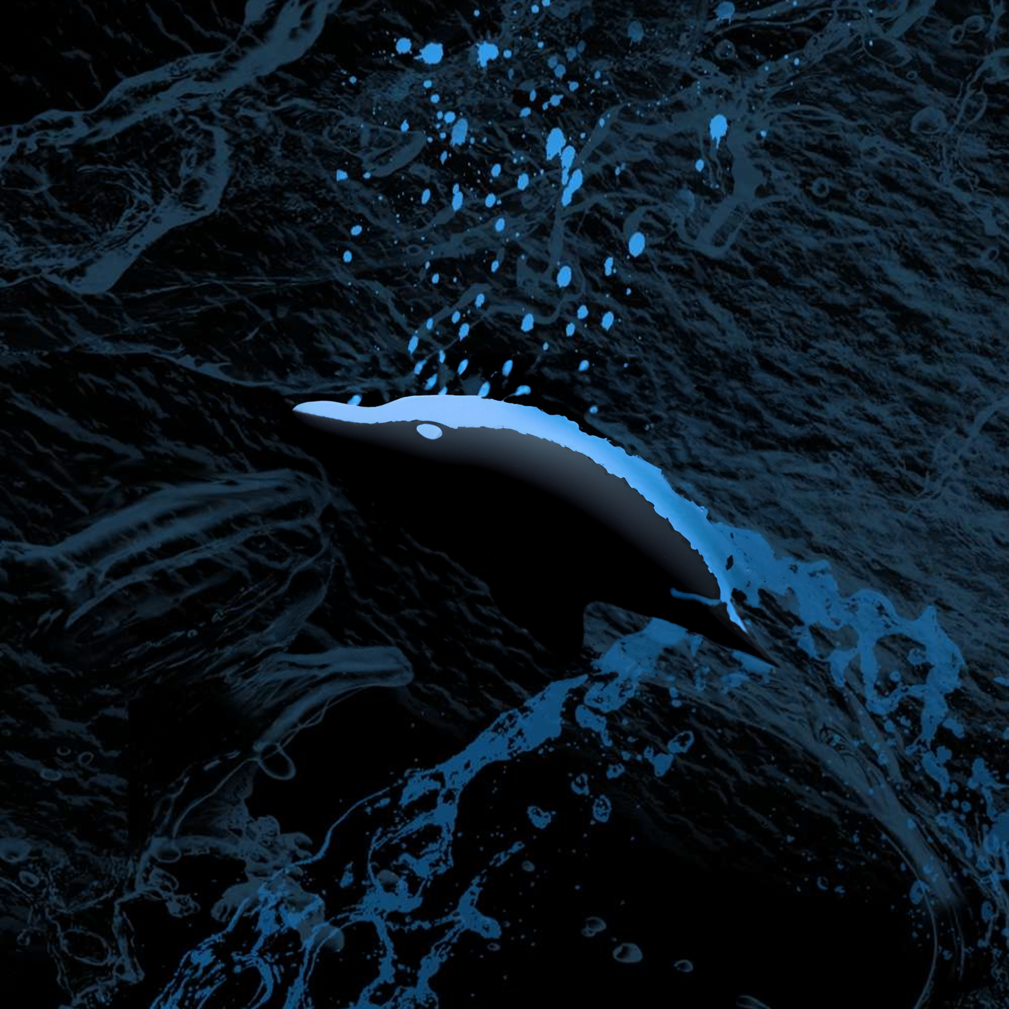 Dolphin's Head